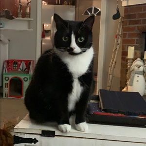 Meet your Posher, Amber